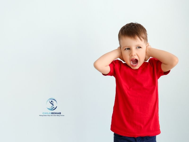 Những Hiểu Lầm Phổ Biến Về Floortime 2026 | ChildRehab