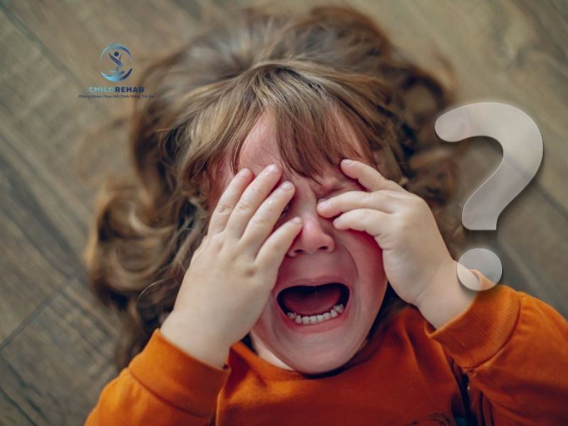 Trẻ Hay Ăn Vạ Phải Làm Sao? Cách Xử Lý Tích Cực Cho Phụ Huynh 2026 | ChildRehab