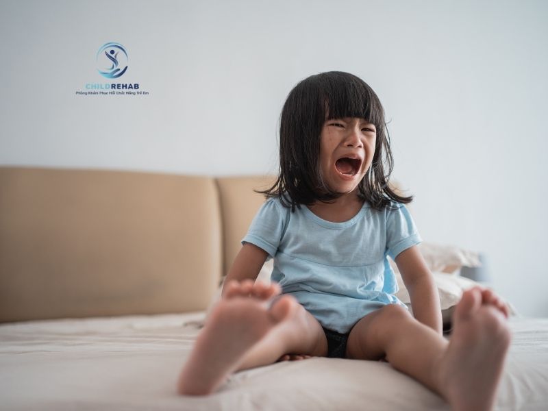 Con Dễ Nổi Cáu Và Bùng Nổ Cảm Xúc, Cha Mẹ Nên Làm Gì? 2026 | ChildRehab