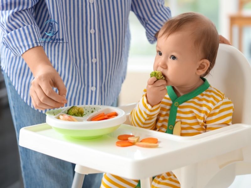 Trẻ Ăn Ít Có Phải Là Dấu Hiệu Đáng Lo Không? 2026 | ChildRehab