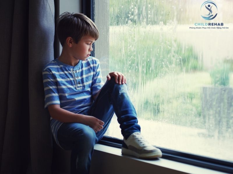 Nguyên Nhân Khiến Trẻ Khó Hòa Nhập Xã Hội 2026 | ChildRehab