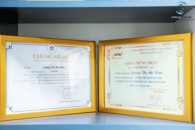 chung chi giao duc som ipd va ky nang xa hoi tre roi loan phat trien luong thi my binh childrehab