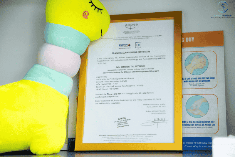 Chứng chỉ đào tạo kỹ năng xã hội cho trẻ rối loạn phát triển – APPEA (Pháp)