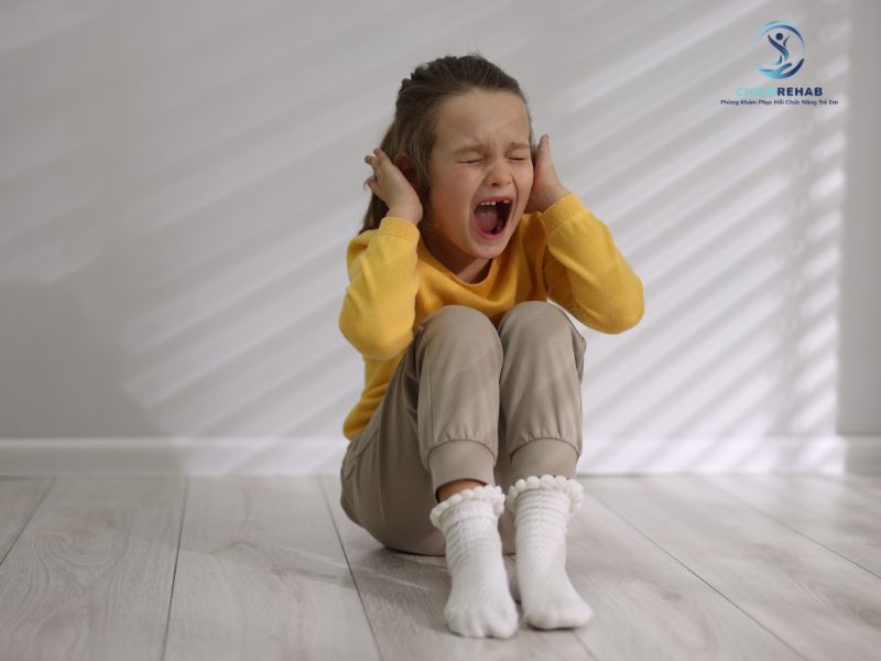 Các biểu hiện như sợ tiếng ồn, ghét chạm vào đồ vật hoặc thích vận động mạnh.