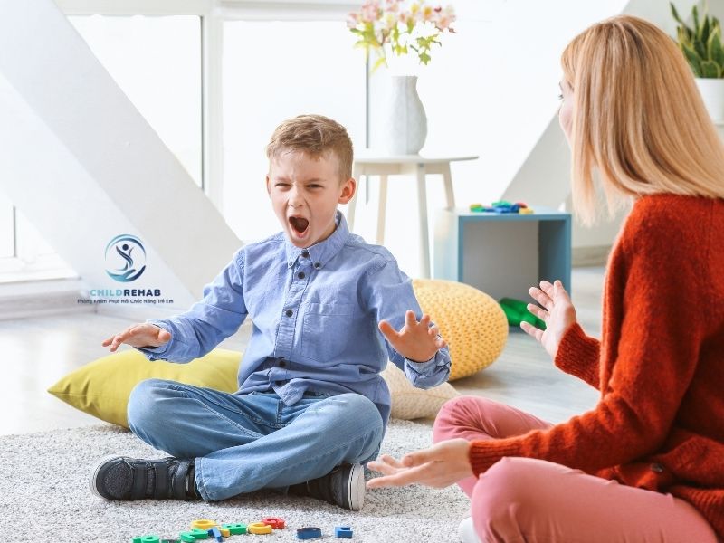 Lợi ích khi kết hợp Floortime với giao tiếp bằng hình ảnh.