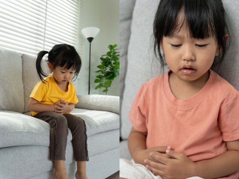 Sức khỏe đường ruột có liên quan như thế nào đến hành vi.