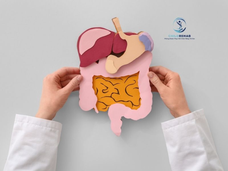 Tiêu hóa kém kéo dài có thể ảnh hưởng đến hấp thu.